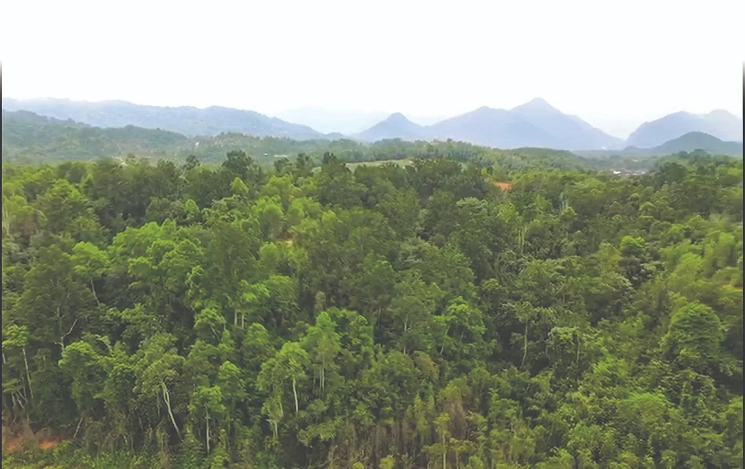 View over Gopeng valley and hills